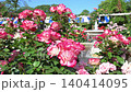 噴水広場の噴水と白とピンクのグラデーションの薔薇 140414095