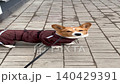 Happy ginger Welsh corgi in overalls on a walk. Vertical video FullHD 140429391