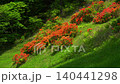 袴越のレンゲツツジ群生地（長野県松本市） 140441298