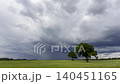 Low-angle meadow with red poppies and oak trees under dramatic sky 140451165