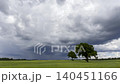 Low-angle meadow with red poppies and oak trees under dramatic sky 140451166