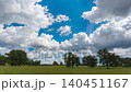 Low-angle meadow with red poppies and oak trees under dramatic sky 140451167