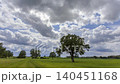 Low-angle meadow with red poppies and oak trees under dramatic sky 140451168
