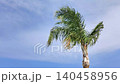 Green palm crown with leaves swaying in the wind against a blue sky on a sunny day. Symbolizes tropical nature, relaxation, warmth, and peaceful outdoor atmosphere 140458956