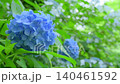 A background image featuring hydrangeas blooming in a garden in early summer, with beautiful bokeh. A background image featuring hydrangeas blooming in a garden in early summer, with beautiful bokeh. 140461592