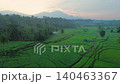 Terraced Rice Fields at Sunrise in Indonesia. Beautiful panoramic view of terraced rice fields surrounded by lush tropical greenery and palm trees 140463367