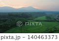 Terraced Rice Fields at Sunrise in Indonesia. Beautiful panoramic view of terraced rice fields surrounded by lush tropical greenery and palm trees 140463373