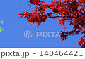 Spring autumn leaves 140464421