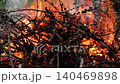 Closeup burning campfire, fire flames on wood logs and tree branches in forest 140469898
