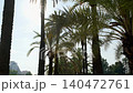 palm tree tops against the clear blue sky 140472761