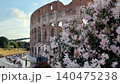 close up of blooming flowers with the colosseum in the background 140475238