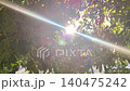 beautiful sunburst flare shining through trees against blue sky 140475242