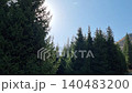 Beautiful Landscape With Tees In The Forest. Kazakhstan, Almaty 140483200