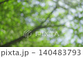 A background image featuring bokeh and shimmering lush greenery, depicting sunlight filtering through trees in early summer. 140483793