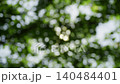 Background material featuring bokeh from the sun and dappled sunlight filtering through fresh green leaves. 140484401