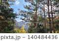 Amazing Forest Is In The Mountains 140484436