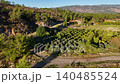 Aerial view of an olive grove and green pine forest landscape in the rural landscape of Mugla, Turkiye 140485524
