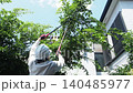 Workers pruning trees in a garden 140485977