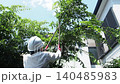 Workers pruning trees in a garden 140485983