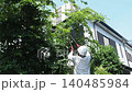Workers pruning trees in a garden 140485984