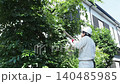 Workers pruning trees in a garden 140485985