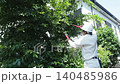 Workers pruning trees in a garden 140485986