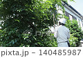 Workers pruning trees in a garden 140485987