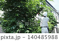 Workers pruning trees in a garden 140485988