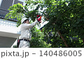 Workers pruning trees in a garden 140486005