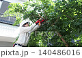 Workers pruning trees in a garden 140486016
