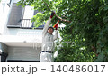 Workers pruning trees in a garden 140486017