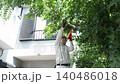 Workers pruning trees in a garden 140486018
