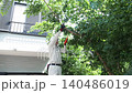 Workers pruning trees in a garden 140486019