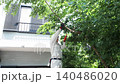 Workers pruning trees in a garden 140486020