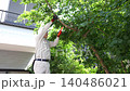 Workers pruning trees in a garden 140486021