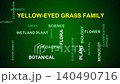 Yellow-Eyed Grass Family Word Cloud 140490716