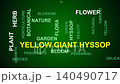 Yellow Giant Hyssop Word Cloud 140490717