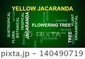 Yellow Jacaranda Word Cloud 140490719
