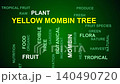 Yellow Mombin Tree Word Cloud 140490720
