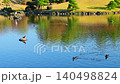 美しい池を泳ぐカモ(水鳥)の癒やし動画・日本庭園の風景 (熊本市)(水前寺成趣園) 美しい池を泳ぐカモ(水鳥)の癒やし動画・日本庭園の風景 (熊本市)(水前寺成趣園) 140498824