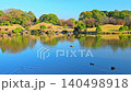 美しい池を泳ぐカモ(水鳥)の癒やし動画・日本庭園の風景 (熊本市)(水前寺成趣園) 美しい池を泳ぐカモ(水鳥)の癒やし動画・日本庭園の風景 (熊本市)(水前寺成趣園) 140498918
