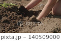 Close-up view of a female farmer planting tomato sprouts in the prepared fertile soil of her vegetable garden, carefully covering the roots to promote healthy growth and a bountiful harvest 140509000