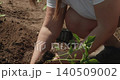 Dedicated farmer carefully planting young green pepper seedlings into the fertile soil of a prepared garden bed, nurturing new life for a future harvest during a sunny day 140509002