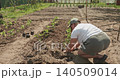 Hardworking female farmer kneeling and carefully planting young pepper seedlings into prepared fertile soil, contributing to sustainable agriculture and organic food production in her home garden 140509014