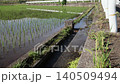 Rice paddies and flowing water 140509494