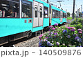 アジサイと東急世田谷線の電車 140509876