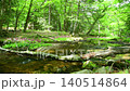 Primroses and a stream blooming at Senjugahama beach in Oku-Nikko, Nikko City, Tochigi Prefecture 140514864
