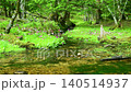 Primroses and a stream blooming at Senjugahama beach in Oku-Nikko, Nikko City, Tochigi Prefecture 140514937