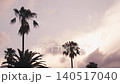Single palm trees against blue sky with white fluffy clouds in summer.  140517040