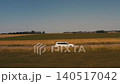 aerial side view of car driving on road in middle of summer field 140517042